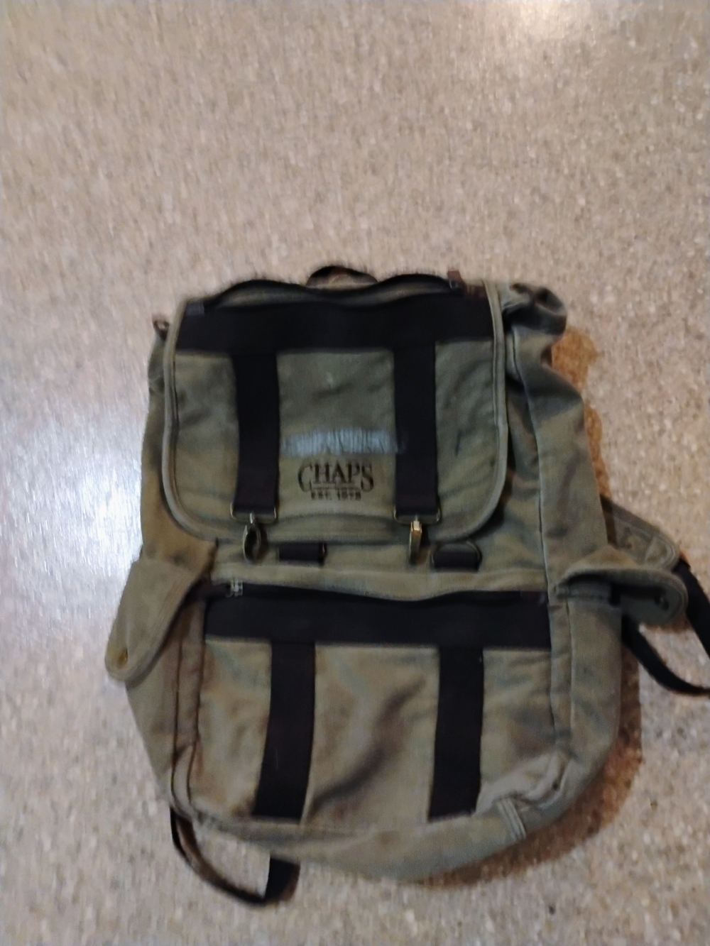 Chaps Olive Canvas Backpack with Black Trim and Straps